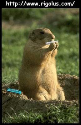 fume